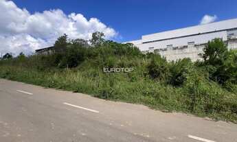 Imagem 7: Excelente terreno industrial no bairro Salgado!