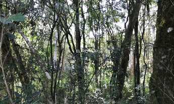 Imagem 4: Linda área nos Caminhos de Pedra!