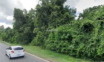 Imagem 3: Oportunidade! Área de terras com frente para a BR 470!