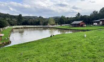 Imagem 4: Excelente sítio com 2 hectares!