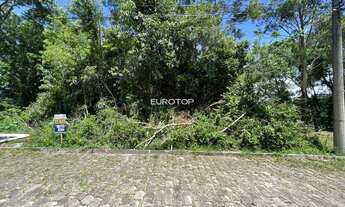 Imagem: Amplo terreno no bairro Santo Antão!