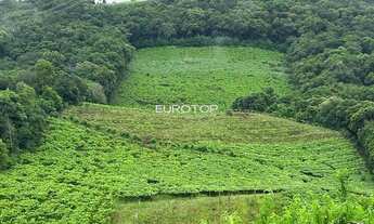 Imagem: Excelente área de terras!