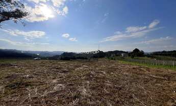 Imagem 7: Belíssima área de terras no local mais alto do vale!