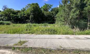 Imagem: Terreno totalmente plano e ensolarado!