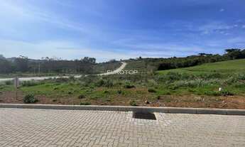 Imagem: Amplo terreno plano na Garibaldina!