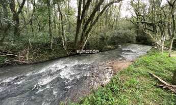 Imagem 6: Excelente sítio com 2 hectares!