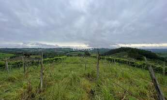 Imagem 2: Excelente área de terras!