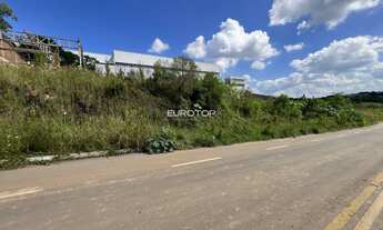 Imagem 6: Excelente terreno industrial no bairro Salgado!