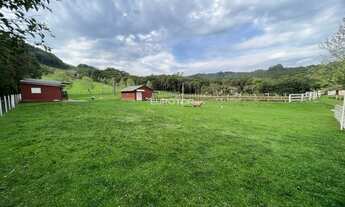 Imagem 7: Excelente sítio com 2 hectares!