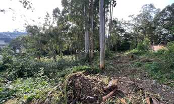 Imagem 4: Amplo terreno no bairro Santo Antão!