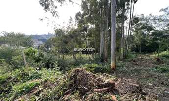 Imagem 3: Amplo terreno no bairro Santo Antão!