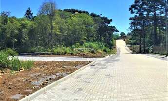 Imagem: Excelentes terrenos no Santo Antão!