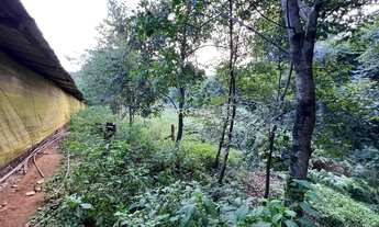 Imagem 7: Excelente área nos Caminhos de Pedra!