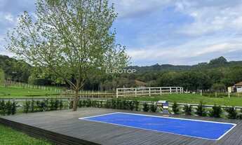 Imagem: Excelente sítio com 2 hectares!