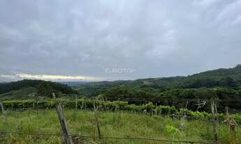 Imagem 4: Excelente área de terras!