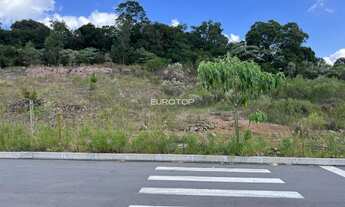 Imagem 2: Excelente terreno industrial no bairro Salgado!