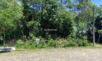 Imagem 5: Amplo terreno no bairro Santo Antão!