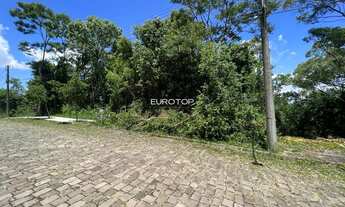 Imagem 2: Amplo terreno no bairro Santo Antão!