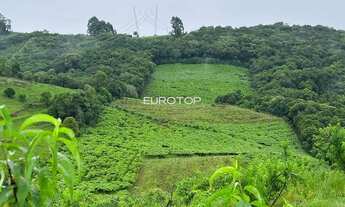 Imagem 2: Excelente área de terras!