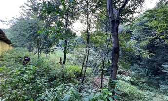 Imagem 3: Excelente área nos Caminhos de Pedra!