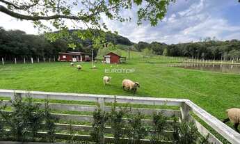 Imagem 3: Excelente sítio com 2 hectares!