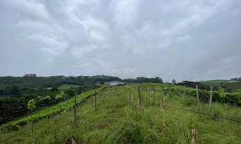 Imagem 5: Excelente área de terras!