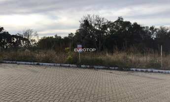 Imagem 2: Terreno plano e ótima metragem!