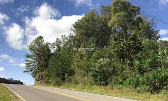 Imagem: Linda área nos Caminhos de Pedra!