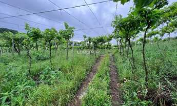 Imagem 6: Excelente área de terras!