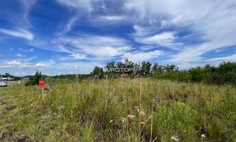 Imagem 5: Amplo terreno industrial!