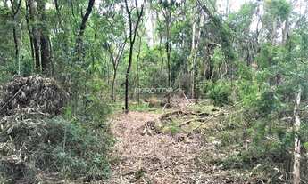 Imagem 6: Linda área nos Caminhos de Pedra!