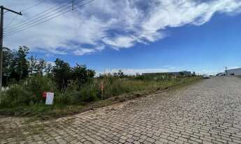 Imagem 3: Amplo terreno industrial!