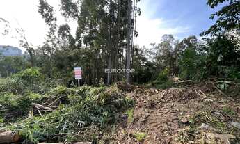 Imagem 2: Amplo terreno no bairro Santo Antão!
