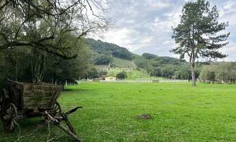 Imagem 5: Excelente sítio com 2 hectares!