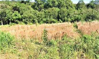 Imagem 4: Lindo terreno no bairro Santo Antão!