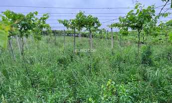 Imagem 7: Excelente área de terras!