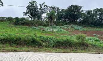Imagem 3: Terreno industrial no bairro Salgado