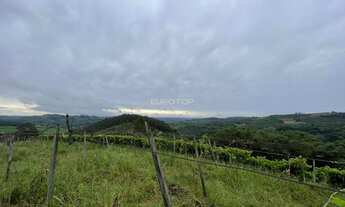 Imagem: Excelente área de terras!