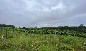 Imagem 3: Excelente área de terras!