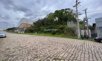 Imagem 3: Amplo terreno industrial!