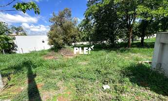 Imagem: Lote Alto Quaresmeiras