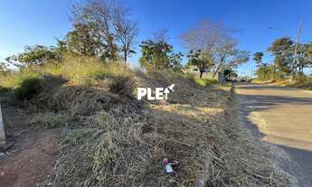 Imagem 4: Terreno / Lote à Venda – Novo Campinho, Pedro Leopoldo – MG