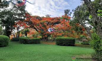 Imagem: Terreno 5000m² Venda - Chácara Malota