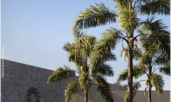 Imagem 3: Lançamento - Abitte Champagne