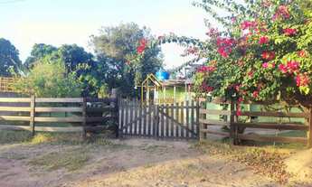 Imagem: Chácara à Venda á 5 km do Trevo do Lagarto