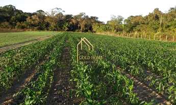 Imagem: Sítio de 10 hectares à Venda em Santo