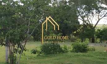 Imagem 4: Sitio a venda a 8 KM do trevo do lagarto