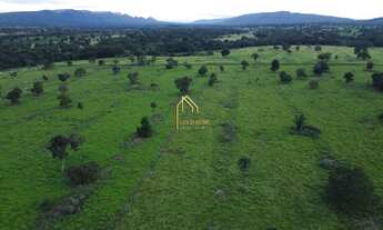 Imagem 4: Fazenda à Venda de 113 Hectares no Cáceres-MT