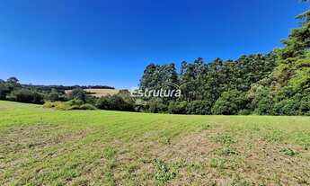 Imagem: Chácara em Silveira Martins de 1 Hectare