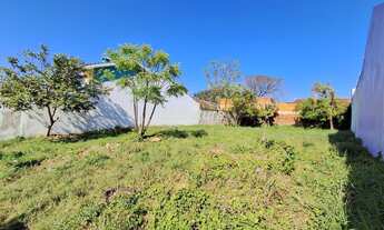 Imagem 4: Terreno de 325m² ótima localização Novo Horizonte